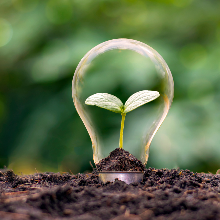 © Pixabay Innovationen Beratungen Pixabay
