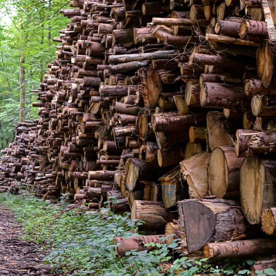 Waldwirtschaftsplan Pixabay